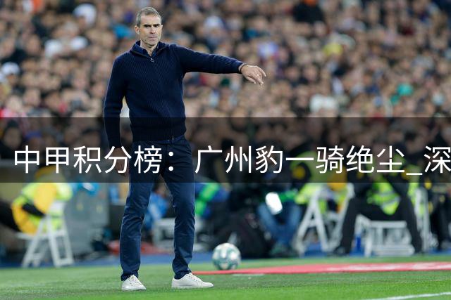 中甲积分榜：广州豹一骑绝尘 深圳青年人坐稳次席