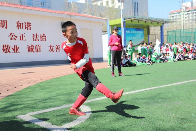 温网：辛纳3-1逆转小兹维列夫 成功卫冕夺生涯第五冠
